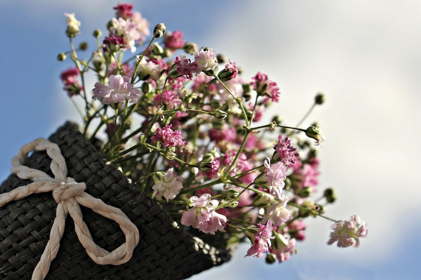 Наука о лёгкости – как сохранить облако гипсофилы в вазе на долгие недели