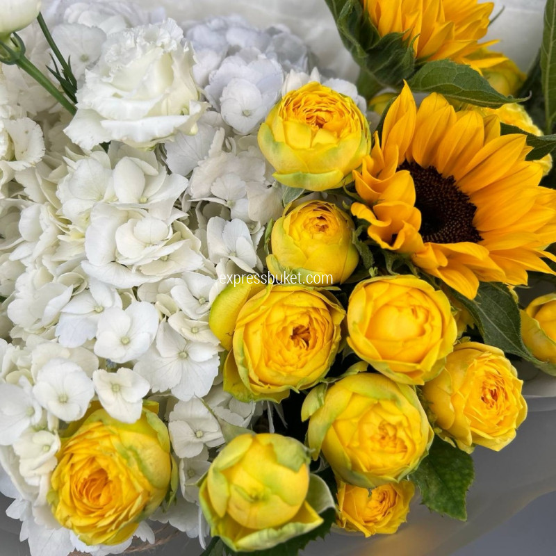 Солнечный поцелуй