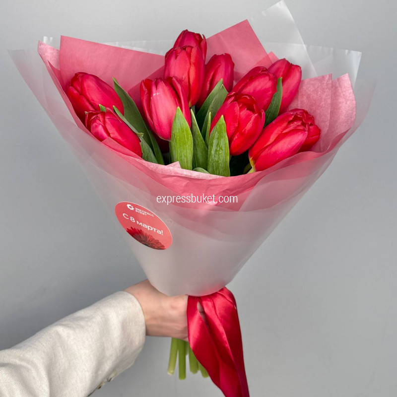 Тюльпаны красные 11 штук