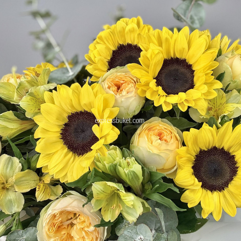Композиция 1167