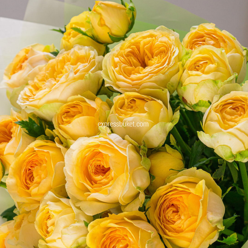 Идеальная роза