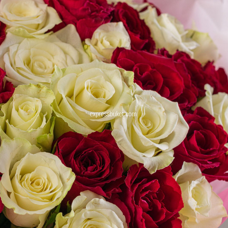 До мурашек 25 роз