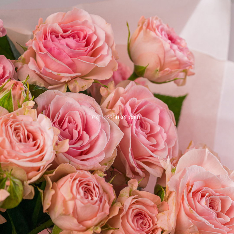 11 кустовых роз