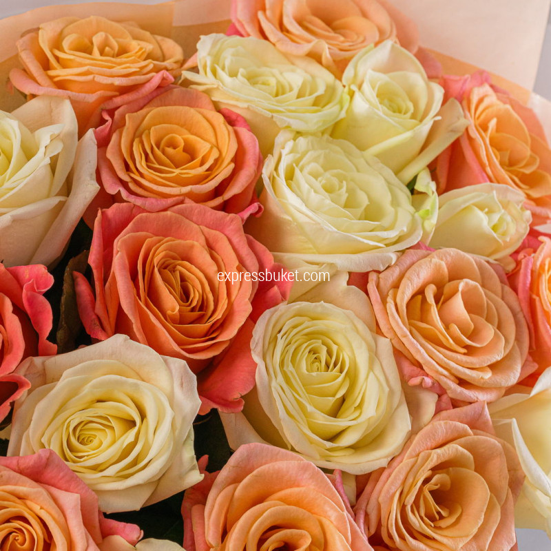 Микс роз персиковые+розовые