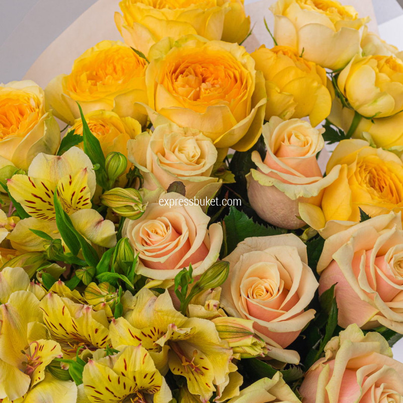 Цвет солнца