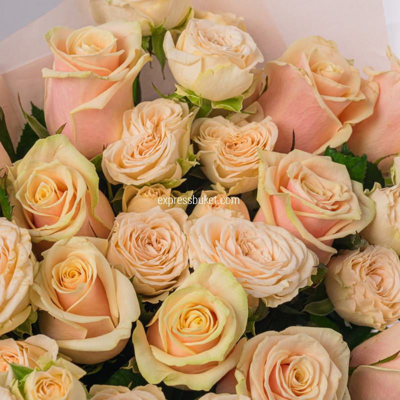 Мягкий жест